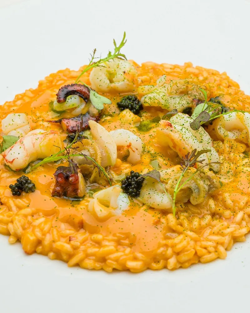 Piatto